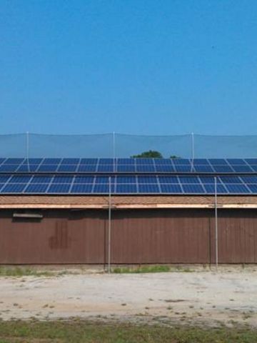 Solar Panel Bird Protection